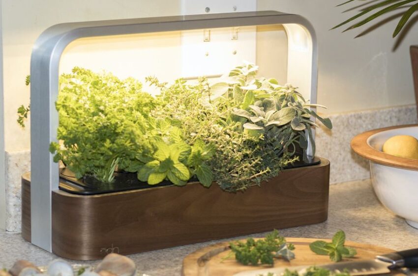  Smart Kitchen Gardens: Elevating Culinary Experience with Indoor Tech Solutions