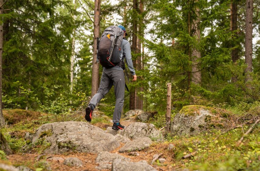  Unpacking the Wild: Your Guide to Outdoor Adventure Essentials